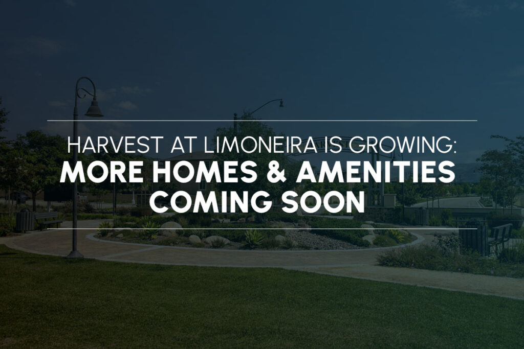 Harvest at Limoneira is Growing: More Homes & Amenities Coming Soon